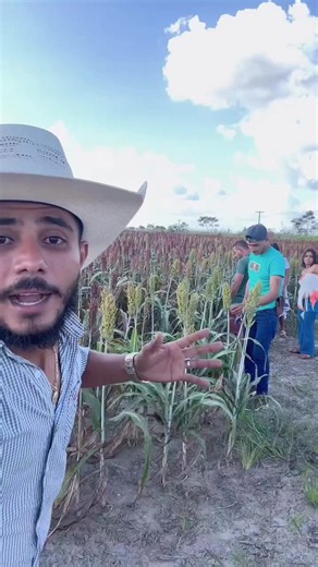 Rafael admirado ao ver roça gigante: nunca tinha visto