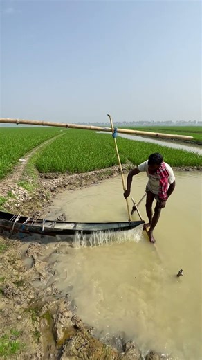 paddy field Old Traditional water Irrigation System