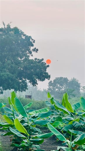 n 🌛 on Instagram: "Nee pona... en udambu mannukkulla 🫠 (editing this with a heavy heart 😭🥺) • • • • • • [ May maadham, minnalae, spb, vineeth, manorama, ar rahman, love, moon, photography, nature , tamil songs] • • • #reach #fypppppppppppppppppppppppppppppppppppppppppppppppppppppppppppppppppppppp #feed #reels #tamil"