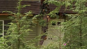 24K views · 288 reactions | WOW! A tree in #Simsbury nearly cut this house in half when it came down during today's storms! We're live from the scene, coming up on CH 3 at 6pm | WFSB - Channel 3 Eyewitness News | Facebook
