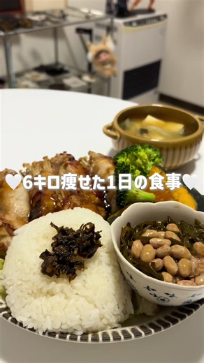 ダイエット食事プラン：低脂質高タンパクメニュー