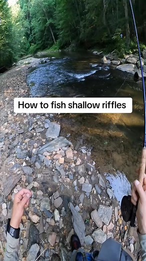 It’s very easy for flyfishers to wade past shallow riffles. Especially when there is a deep hole below them. We get so excited to fish that deep hole because we know there will be some sort of fish in there. But before you walk past the shallow riffles, try casting a jig in there, and instead of bouncing it up stream, slowly walk down while bouncing it downstream as if it’s a minnow in distress trying to swing against the flow. Your fly will flutter in the current and when it approaches the trou