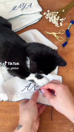 Creative Stitching with DMC Threads