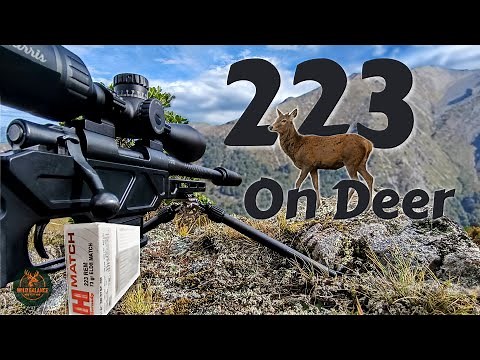 223 on Red Deer: Hunting with the Elude Howa Mini and ELD-M ammo in the Scenic NZ Alps