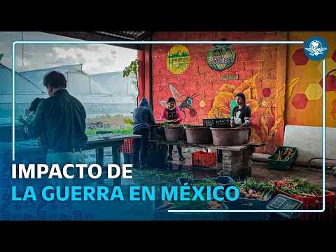 Precio de fertilizantes golpea al campo mexicano por conflicto en Medio Oriente