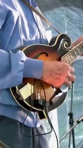 True Bluegrass Music 2014