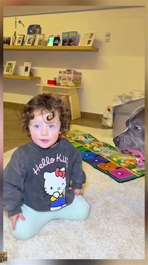 Mino go swimming with dad #dogofyoutube #music #newmusic