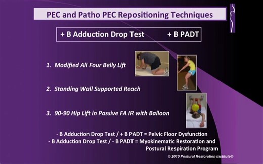 s3.03：PRI体格检查演示（PEC以及patho PEC模式的排查以及治疗动作）