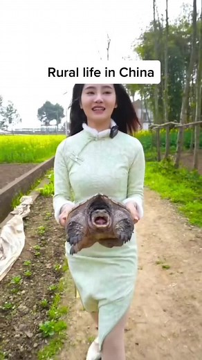 Chinese Village Girls Cooking Braised Turtle | Rural Chinese Cooking Videos