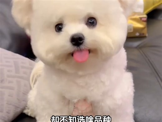 豆包AI：生活小帮手 (55)