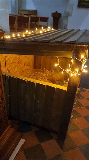 Christmas and there's movement in the crib!! | Timmy Mallett