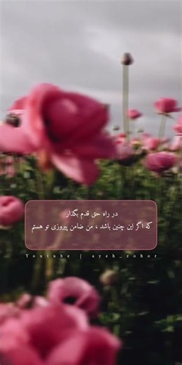 من ضامن تو میشوم ...🩷✨️