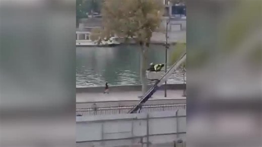 Louvre jewel heist thieves caught on camera making getaway on furniture lift