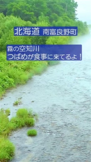 幻想的なそらち川