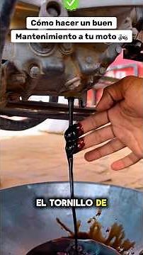 How to Perform a Motorcycle Engine Flush and Oil Change 🏍️🔧
