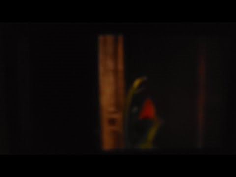 The Great Muppet Caper (1981) - The Great Muppet Caper (Part 2)