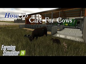 How To | Care For Cows | Farming Simulator 25