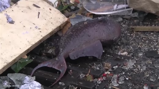 The Biggest Construction Fails Ever