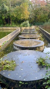 Abandoned swimming pool in the Netherlands October 2025 | lost-in-time-ue.nl
