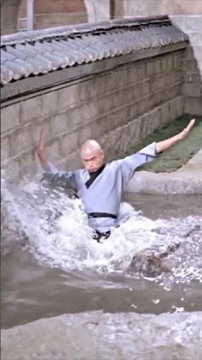 The Film That Started It All #36thchamberofShaolin #martialarts #kungfu