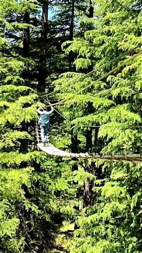 Adventure Activities at Kufri #kufri #shimla #advanture #himachal #shortfeed #viral