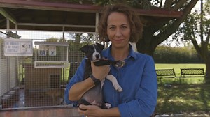 Na HRT-u premijerno dokumentarni serijal "Udomi me"