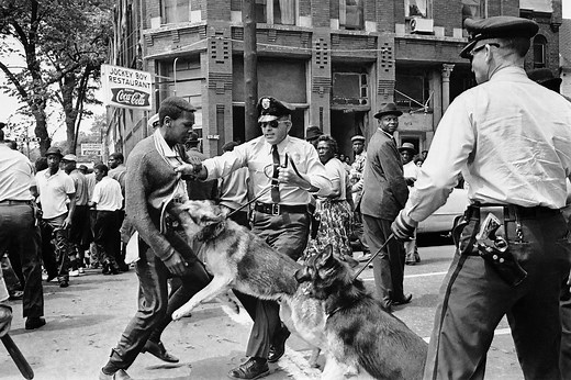 Birmingham’s Use of Dogs on Civil Rights Protesters Shocked Liberal Onlookers. But the Backstory Was All-American.