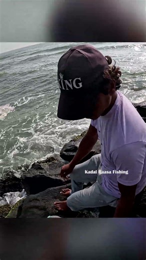 Trevally Fish from Rocks | Shore Fishing Adventure #fishing #handfish #fish