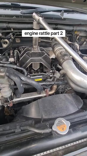 under d mango tree tuner LTD on TikTok