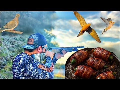 Dove Hunt & Cook | 12 Gauge Browning A5 | Catch & Cook | Bacon Wrapped Jalapeño Popper Dove Recipe
