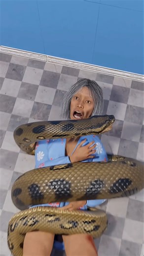 Python attacks woman 🫣 #facts #python