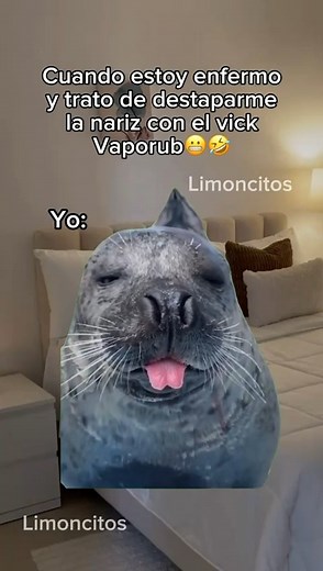 SOY 🤣 | Limoncitos club