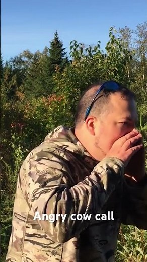 Non receptive female moose call