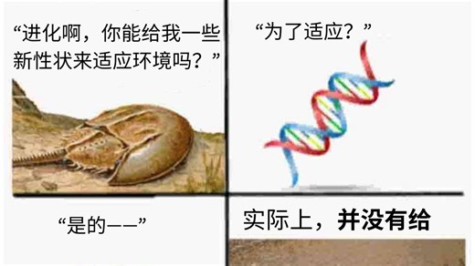 【每日meme】遗传学 篇