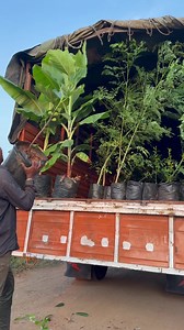 9K views · 70 reactions | Wholesale Nursery Plants on Reels | Facebook