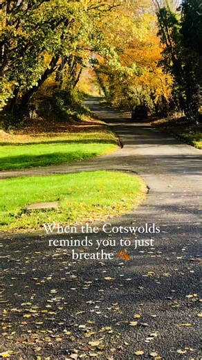 When the Cotswolds reminds you to just breathe 🍂There’s something special about quiet country roads lined with autumn colours — peaceful, golden, and timeless. 🌾✨📍 Filmed in the heart of the North Cotswolds🚗 Perfect spot for a slow Sunday drive🍁 #VisitCotswold #CotswoldsAutumn #CotswoldsEngland #AutumnVibes #CotswoldsRoadTrip #CountrysideEscape #CotswoldLife #HiddenCotswolds | Visit Cotswolds