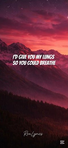 Brother (Lyrics) – Kodaline | pure emotion 💔