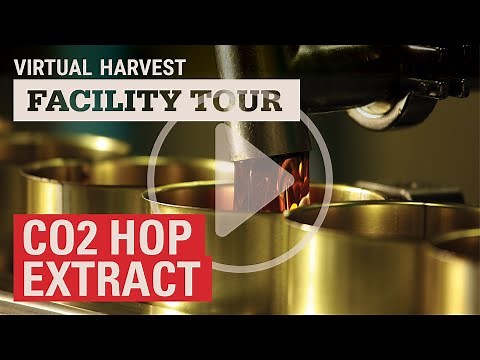 CO2 Hop Extract - History & Process (Virtual Harvest 2020)