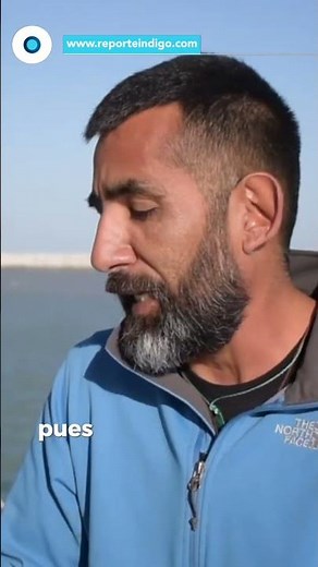 La Vaquita Marina lucha por sobrevivir | Reporte Indigo