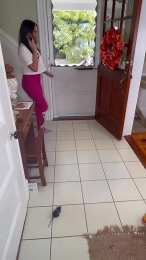 She is so scared of mice 🐁 😂