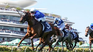 Champions Sprint runner-by-runner form analysis and tips