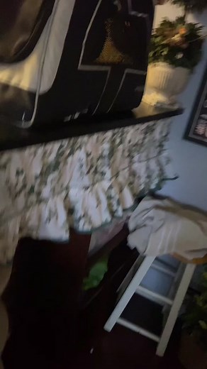 #asktiktok how are you? #ShareTheMagic #PawlidayPics #fyp #foryoupage #crow #crowtok #rehabilitation #wildliferescue