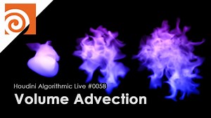 ALGORITHMIC LIVE | VOLUME ADVECTION
