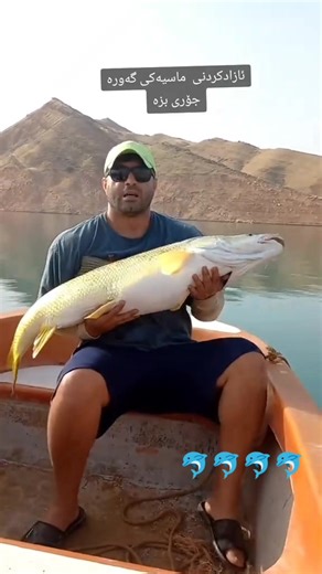 فيديوهات أنشأها 🐬په يجئ فه قيرا🐬 (@payge_faqera) باستخدام Originalton - funnyvideos