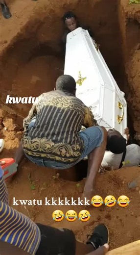 gwa gwa (@gwagwa686)’s videos with original sound - gwa gwa