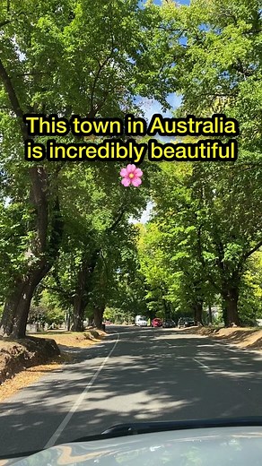 Explore the Scenic Beauty of Bright, Victoria
