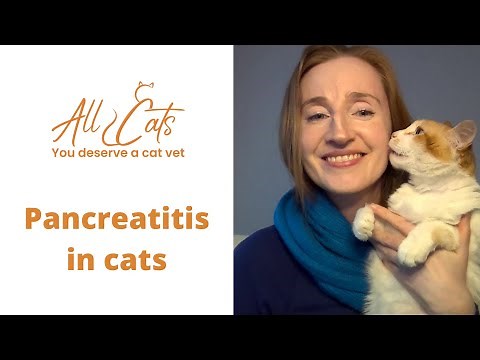 Pancreatitis in cats