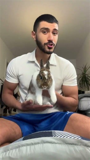 Sharing some useful informations and tips for new rabbit owners to keep your animals safeand health