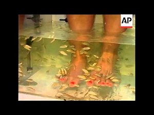 A trendy pedicure with fish that nibble dead skin from the feet has been nipped in the bud. The Flor