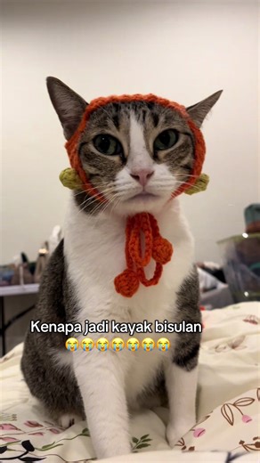 sumpah aku ga sengajaa maaf ya Menik 🥺 aku pikir bakal cakep 😭 #kucing #kucinglucu #ngakak #crochet #fypシ゚ #beranda